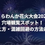 くらわんか花火大会2024穴場スポット